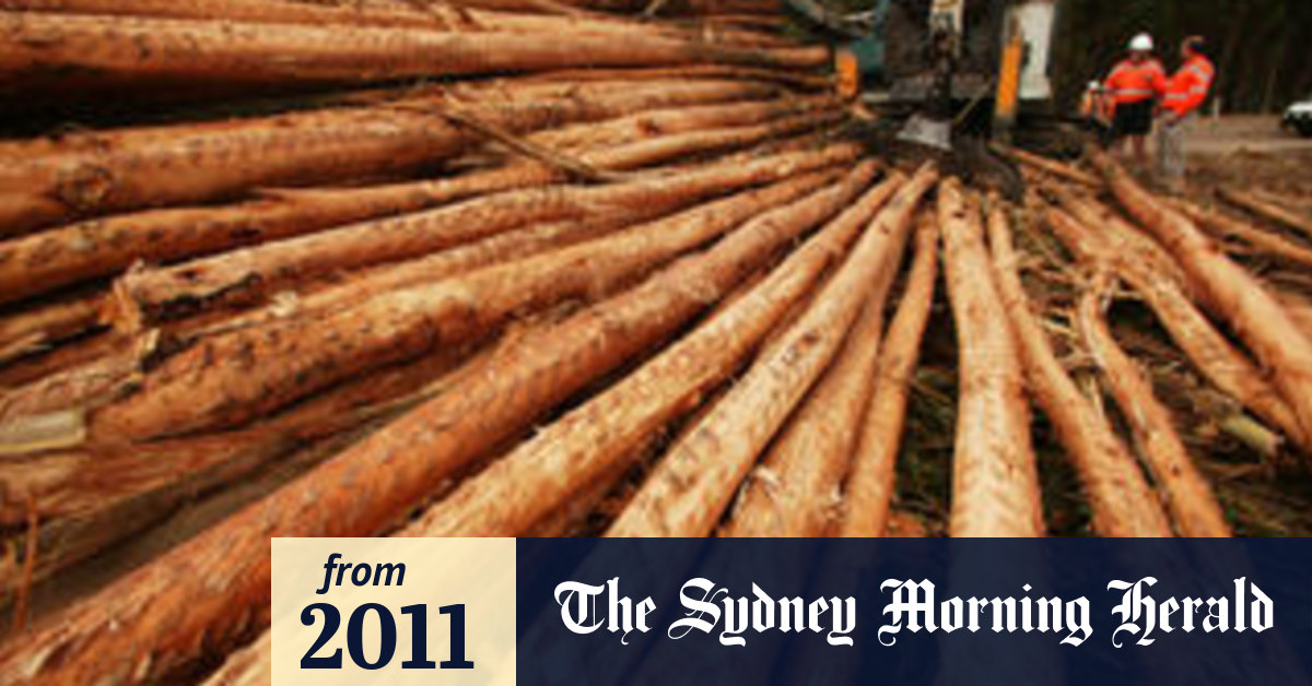 Timbercorp case thrown out